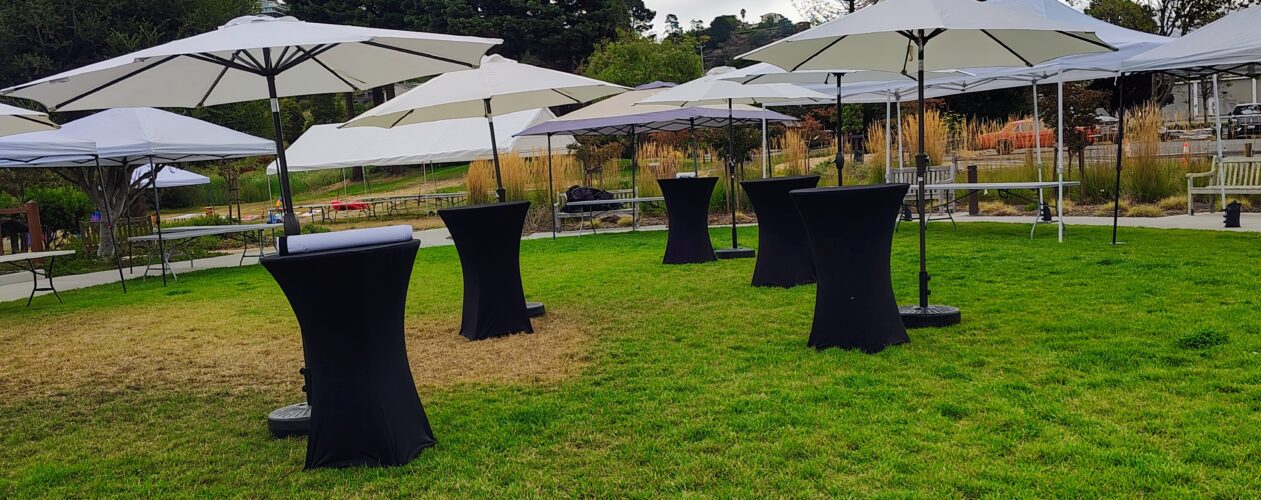 Elegant outdoor event tent setup with tables, chairs, and string lights - Patitos Party Rental