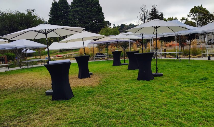Elegant outdoor event tent setup with tables, chairs, and string lights - Patitos Party Rental